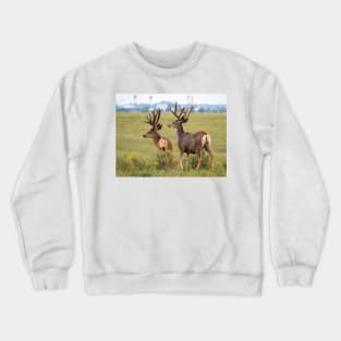 Two Brothers Crewneck Sweatshirt